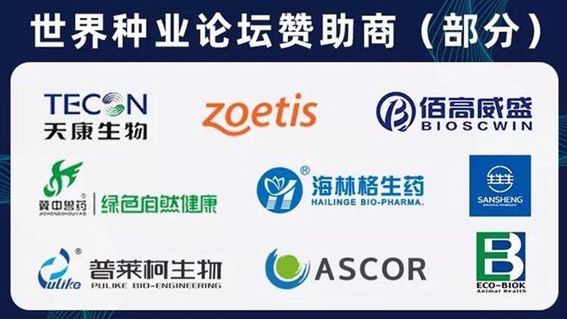 生物科技之光：咨询行业动态解读
