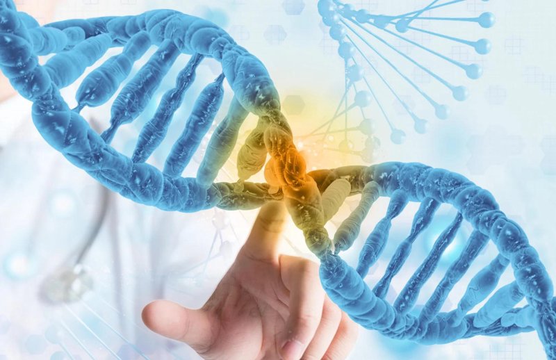 生物技术研发:点燃科技与生命的火花