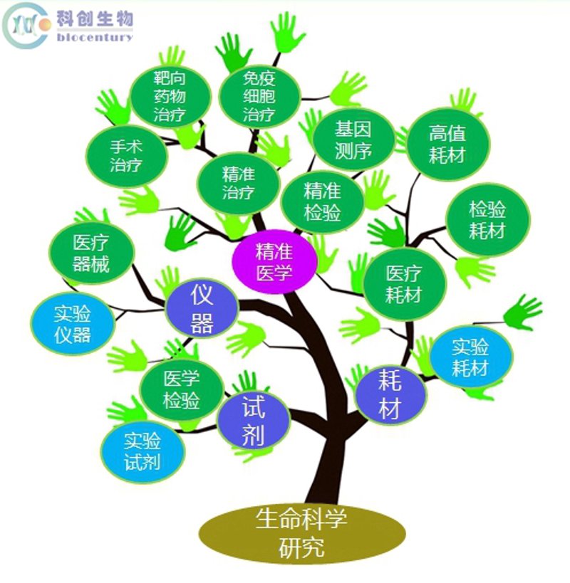 透视生物技术咨询行业的前沿动态
