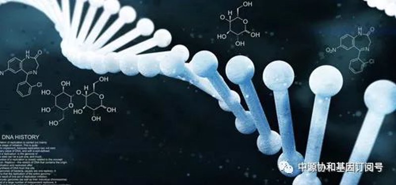 北京生物技术:开启生命科学新时代